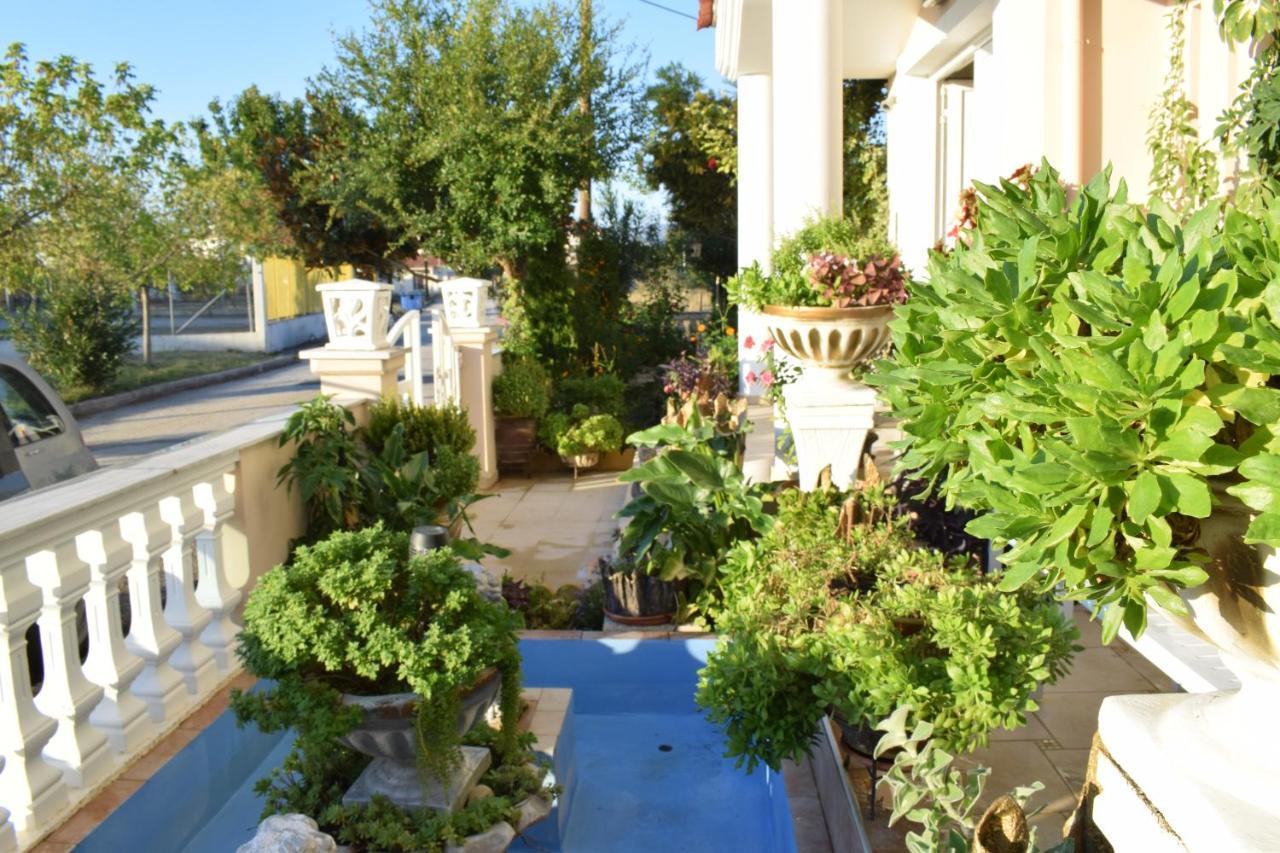 Five Stars In Trikala Apartment Ngoại thất bức ảnh